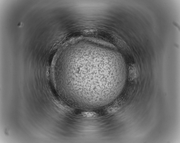 X0000098010654200804111234