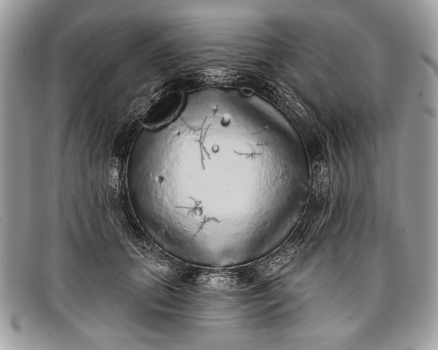 X0000098010655200804111234