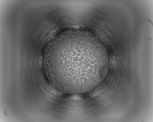 X0000098010656200804111234