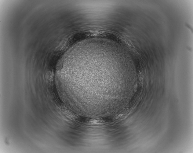 X0000098010657200804111234