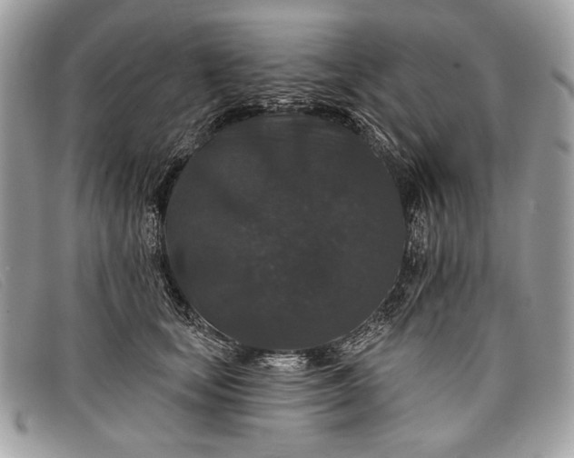 X0000098010659200804111234