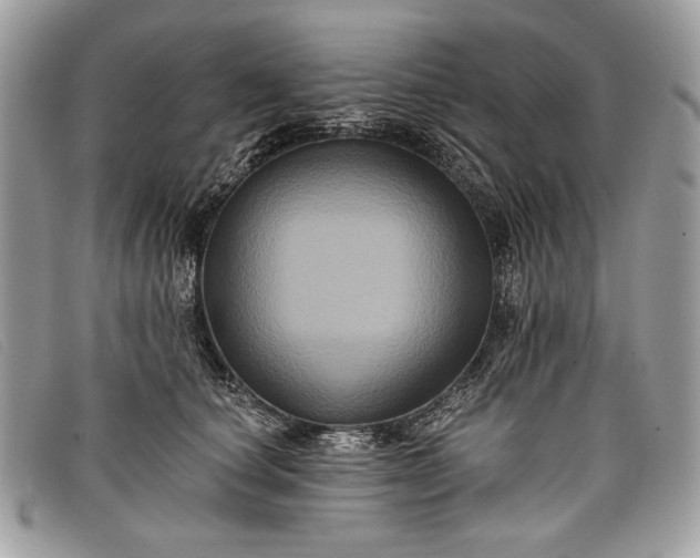 X0000098010660200804111234