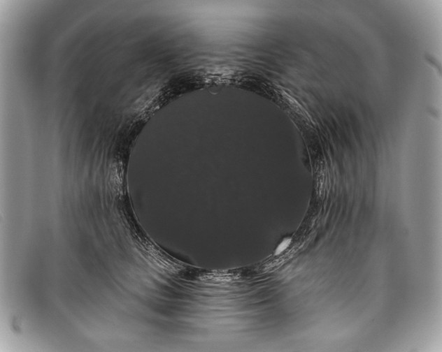 X0000098010661200804111234