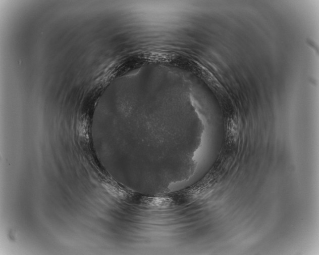 X0000098010663200804111234