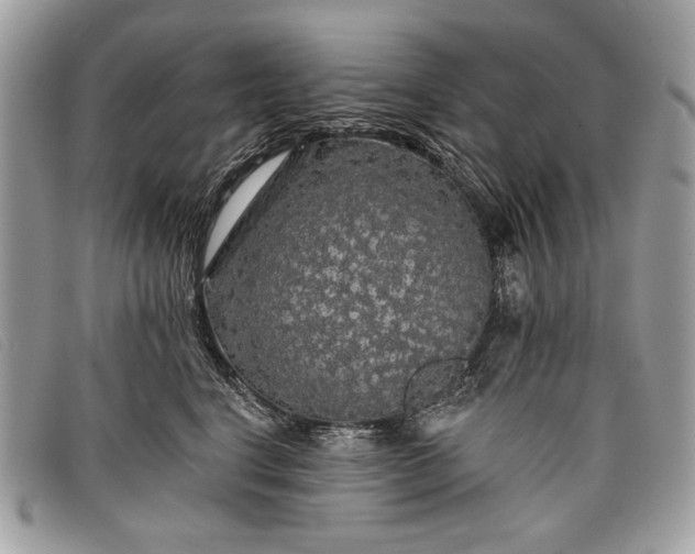 X0000098010664200804111234