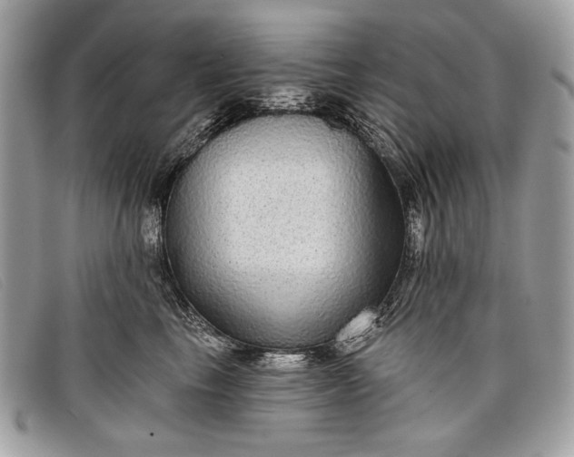 X0000098010665200804111234