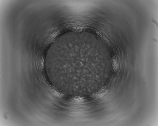 X0000098010668200804111234