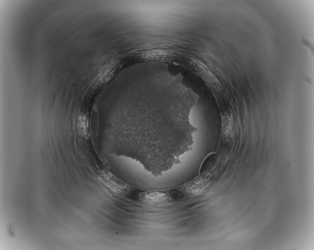 X0000098010669200804111234