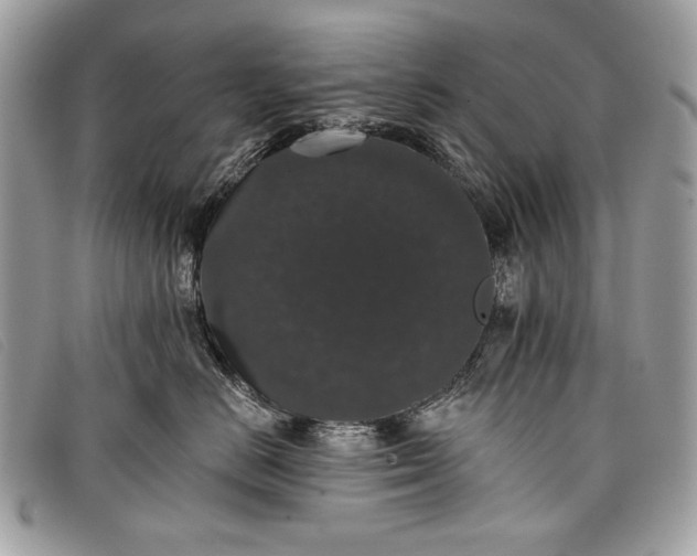 X0000098010670200804111234