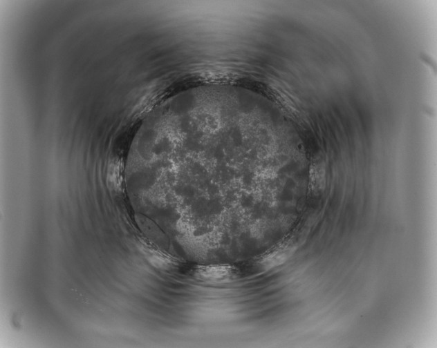 X0000098010671200804111234