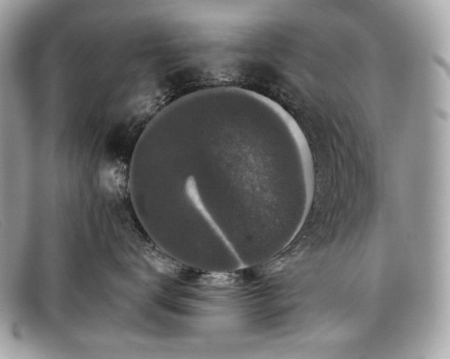 X0000098010672200804111234