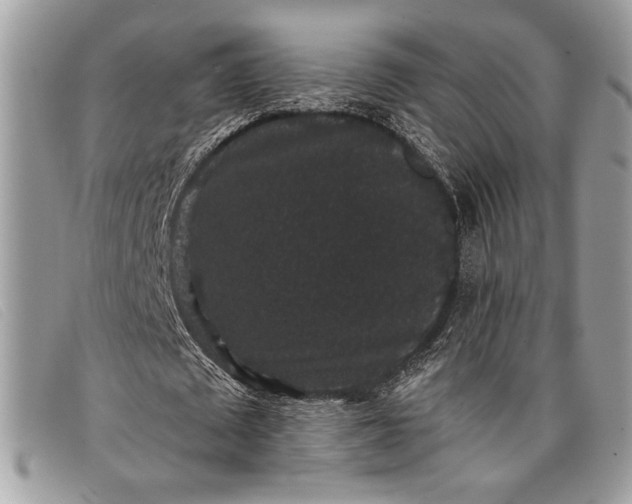 X0000098010673200804111233