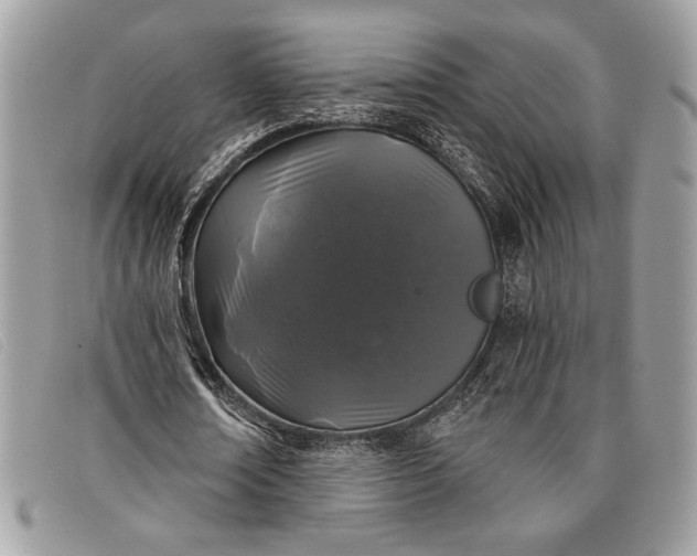 X0000098010674200804111233