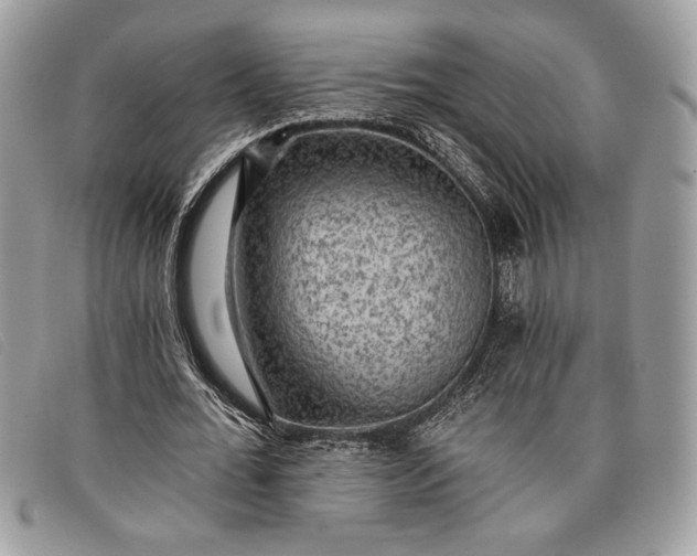 X0000098010676200804111233