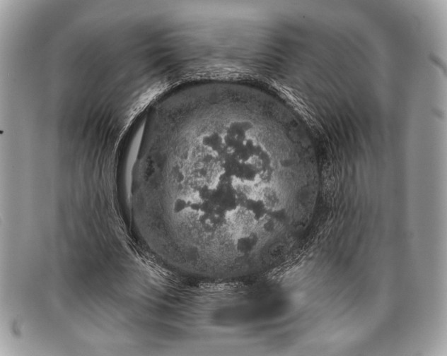 X0000098010679200804111233