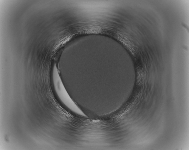 X0000098010681200804111233