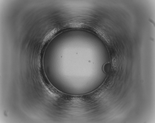 X0000098010682200804111233