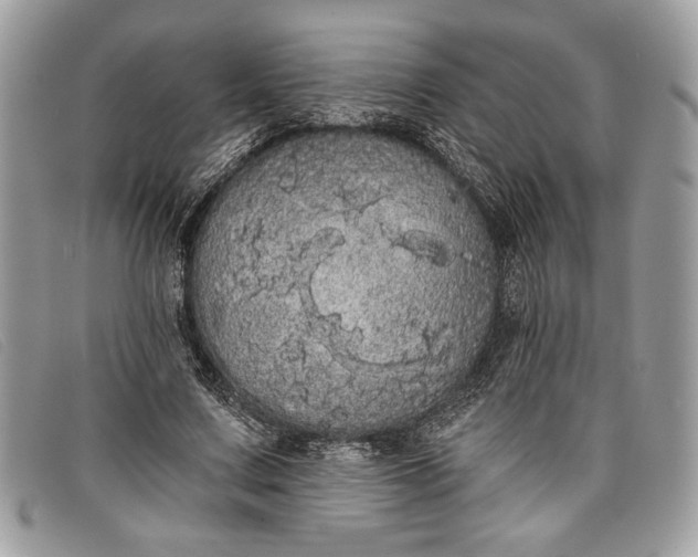 X0000098010683200804111233