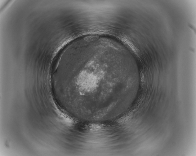 X0000098010684200804111233