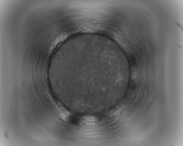 X0000098010685200804111233