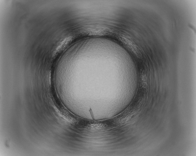 X0000098010686200804111233