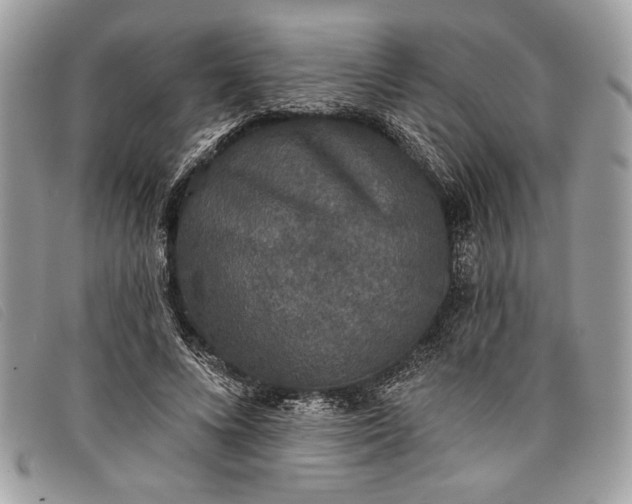 X0000098010688200804111233