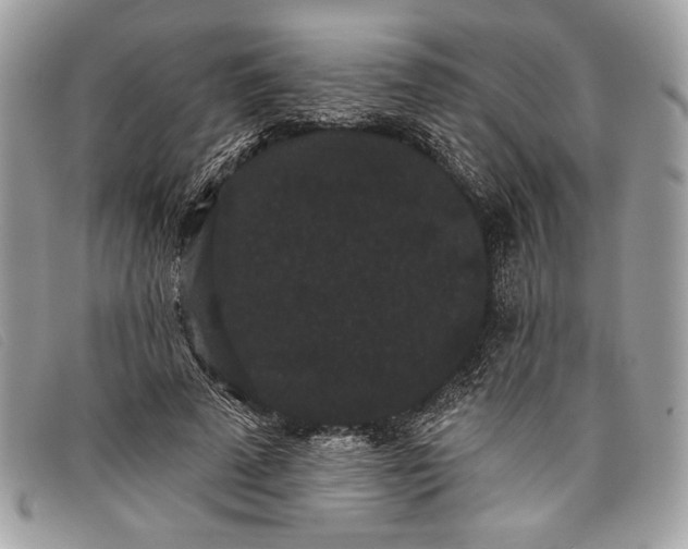 X0000098010689200804111233