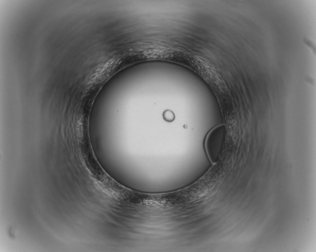 X0000098010690200804111233