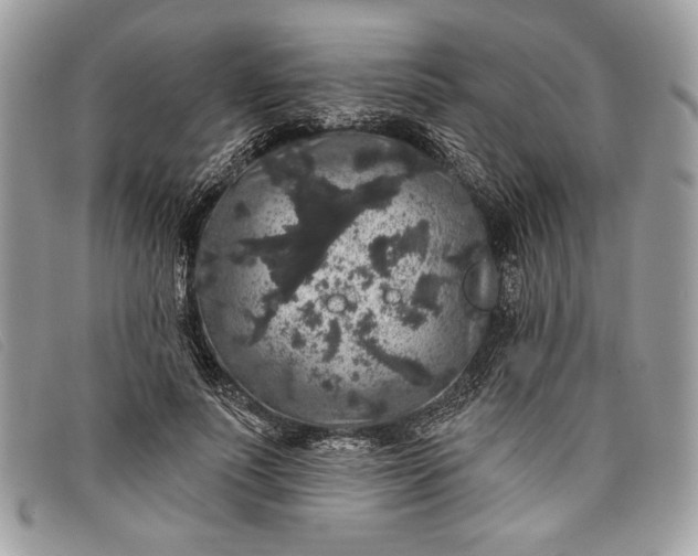 X0000098010691200804111233