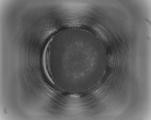 X0000098010692200804111233