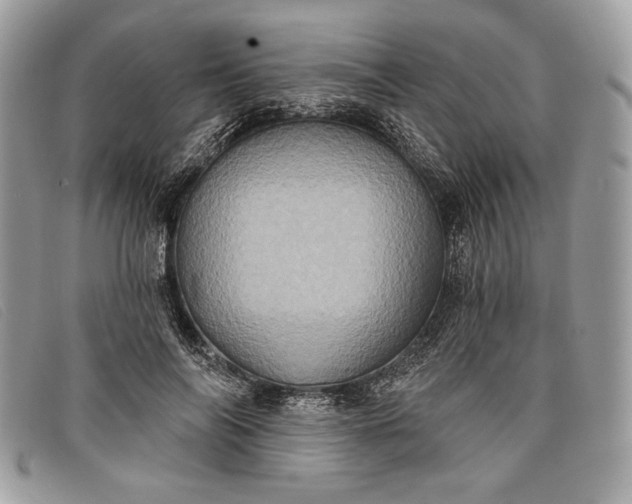 X0000098010694200804111233