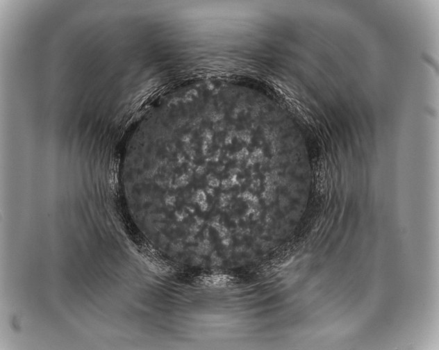 X0000098010695200804111233