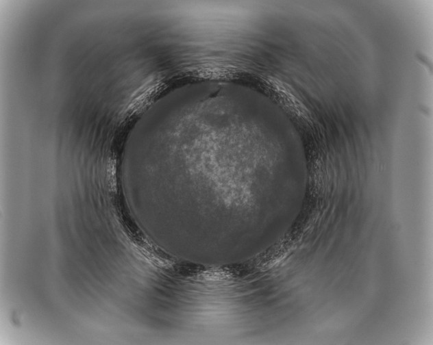 X0000098010696200804111233