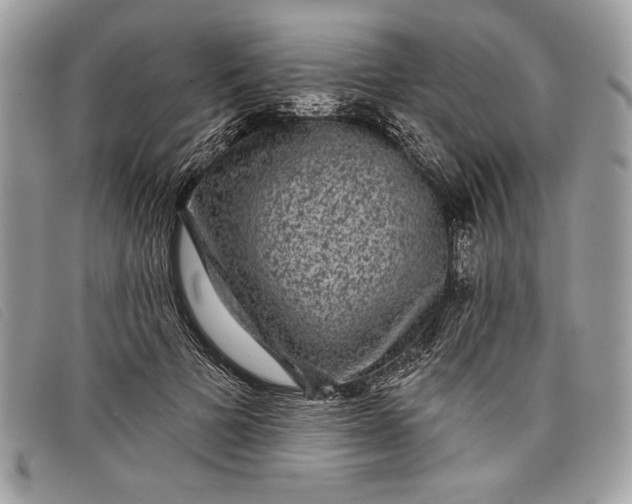 X0000098010697200804111233