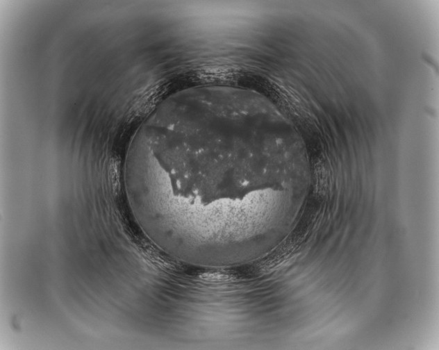 X0000098010699200804111233