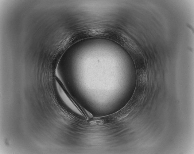 X0000098010700200804111233