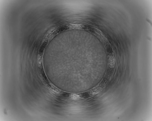 X0000098010701200804111233