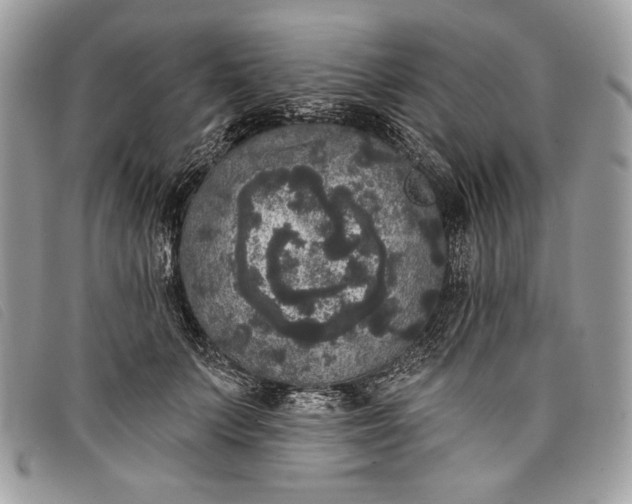 X0000098010703200804111233