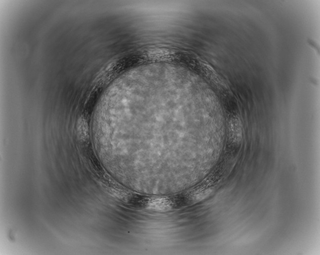 X0000098010705200804111233