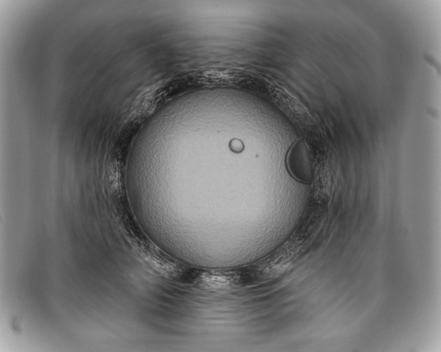 X0000098010706200804111233