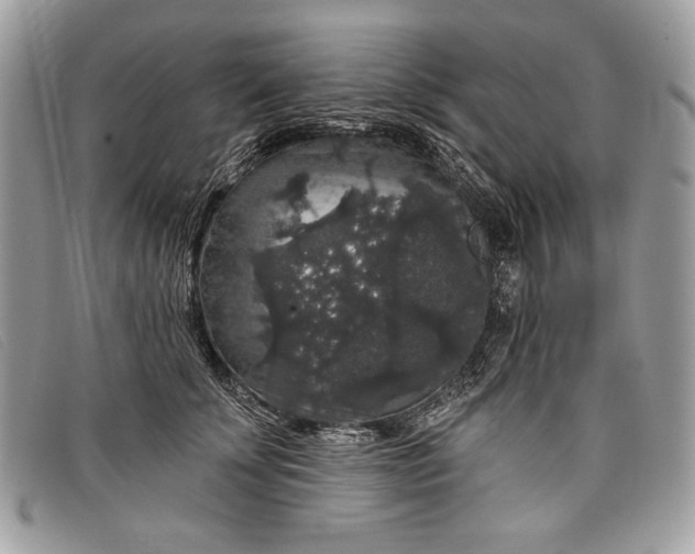 X0000098010707200804111233