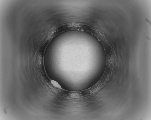 X0000098010708200804111233