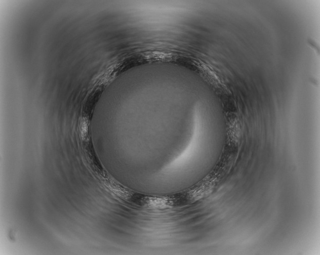 X0000098010709200804111233