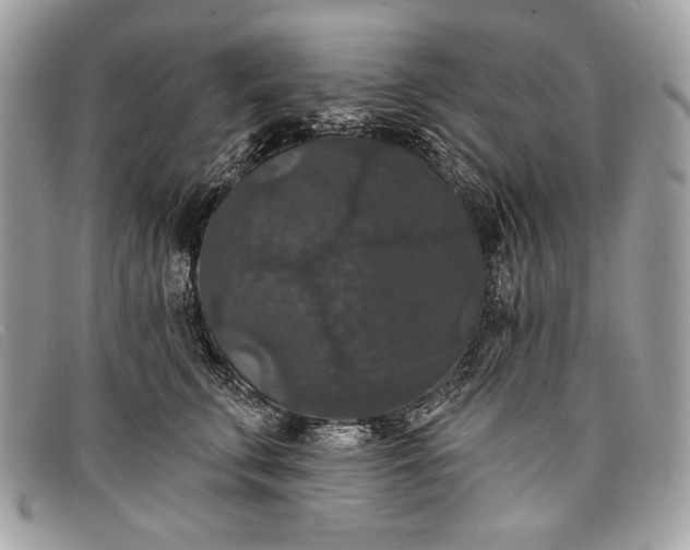 X0000098010711200804111233