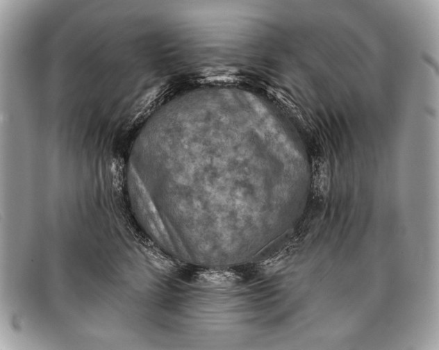 X0000098010712200804111233