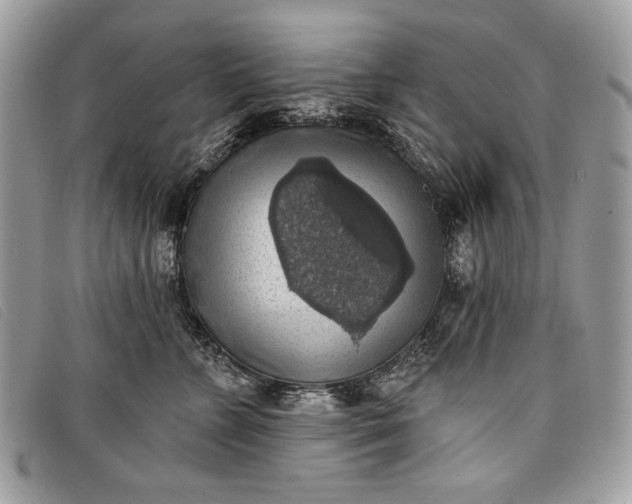 X0000098010715200804111233