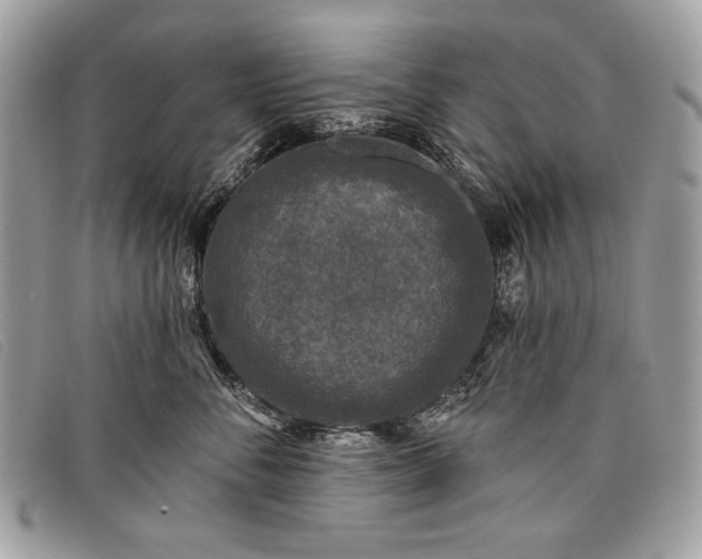 X0000098010716200804111233