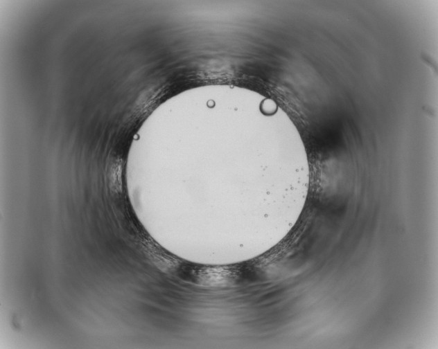 X0000098010717200804111233