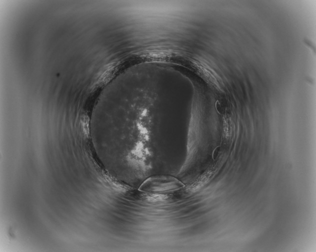 X0000098010718200804111233