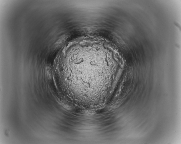 X0000098010719200804111233